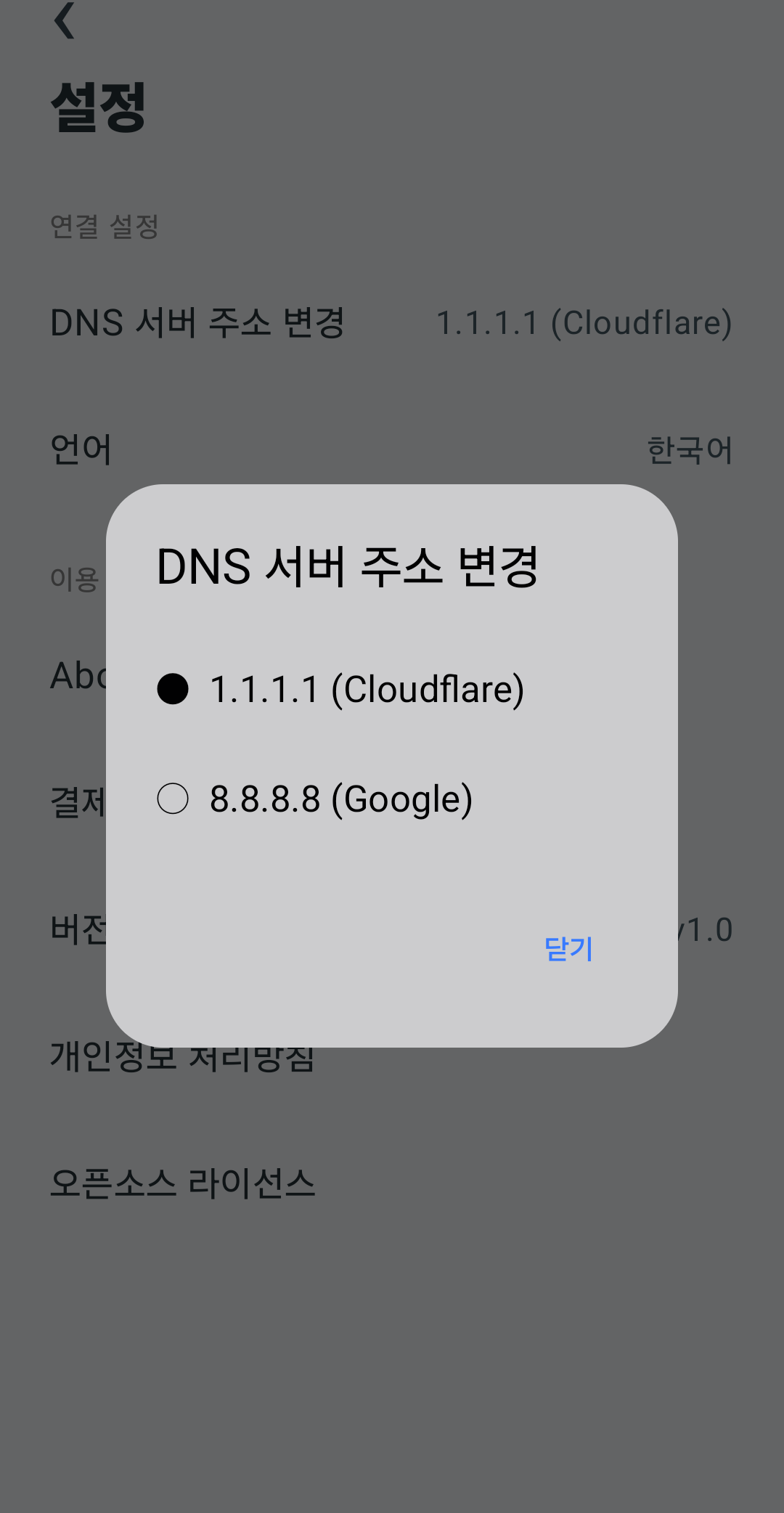 FishVPN DNS 선택 화면